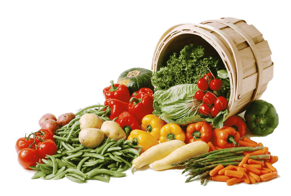 জৈব খাদ্য এখন ব্যাপকভাবে পাওয়া যাচ্ছে