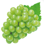 জৈব খাদ্য এখন ব্যাপকভাবে পাওয়া যাচ্ছে