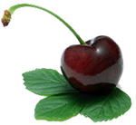 জৈব খাদ্য এখন ব্যাপকভাবে পাওয়া যাচ্ছে